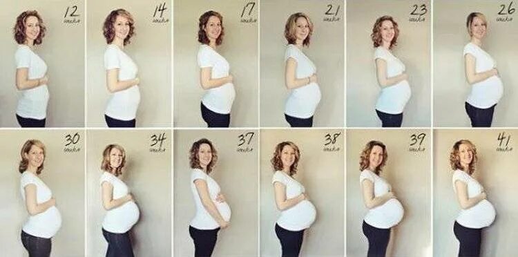 Во сколько растет живот. 12 Недель беременности размер живота. Живот беремоннойпонеделяи. Живот по неделям беременности. Животики беременных по неделям.
