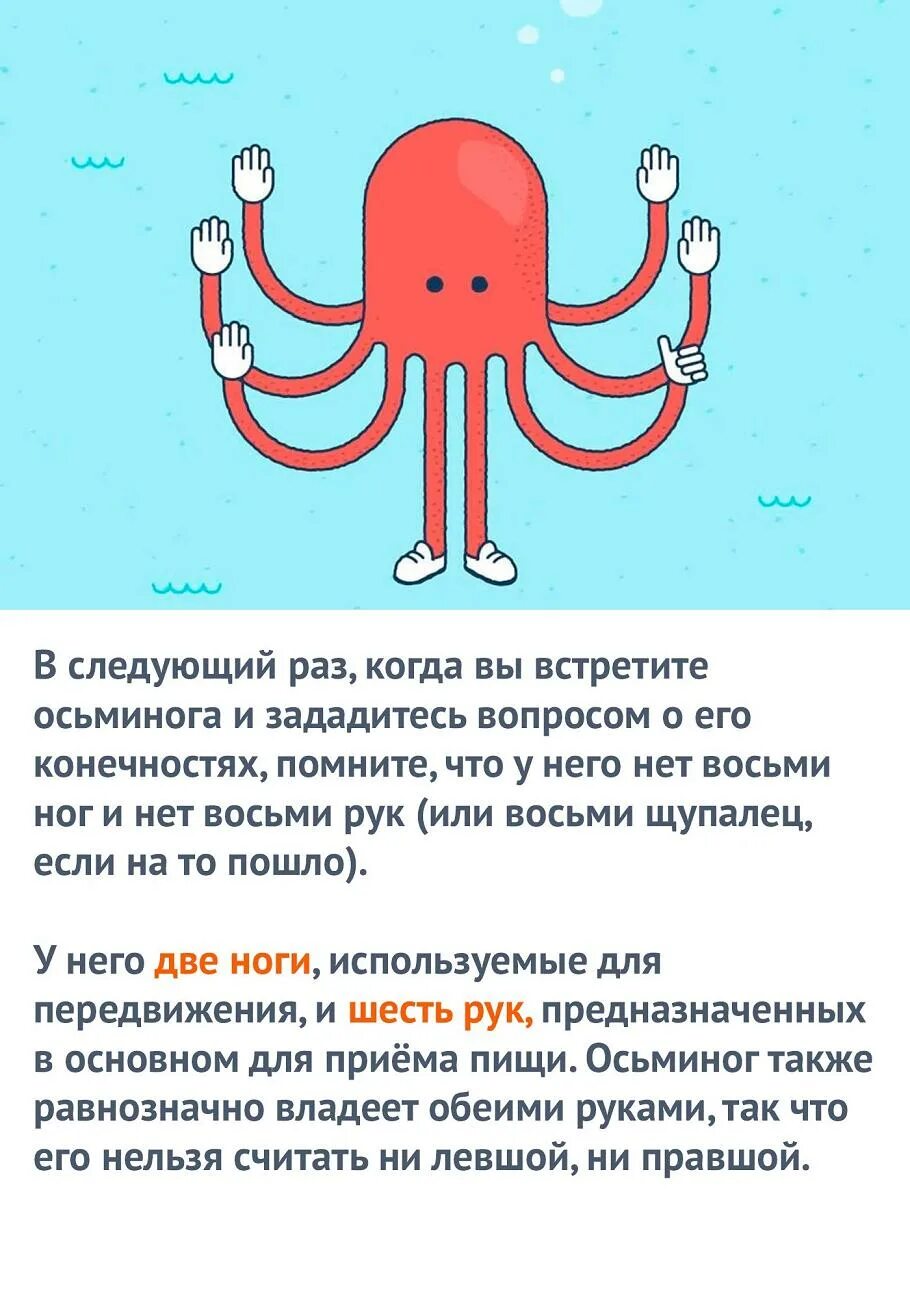 У осьминога только восемь ног подчеркните буквы. Русский язык 2 класс рабочая тетрадь 2 часть канакина стр 62. Загадки математики неразгаданные. Рабочая тетрадь по русскому языку 2 класс 1 часть канакина стр 62. Рабочая тетрадь по русскому языку 2 класс 2 часть стр 62.