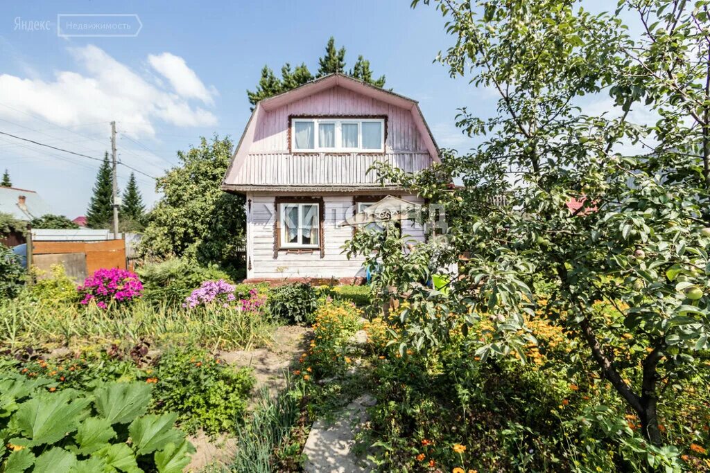 Увильды тихие зори. Дачный домик в садоводстве. Дачи тихие зори. Снт «тихие зори» пьер. Снт тихие зори электроугли.