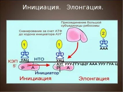 1 инициация