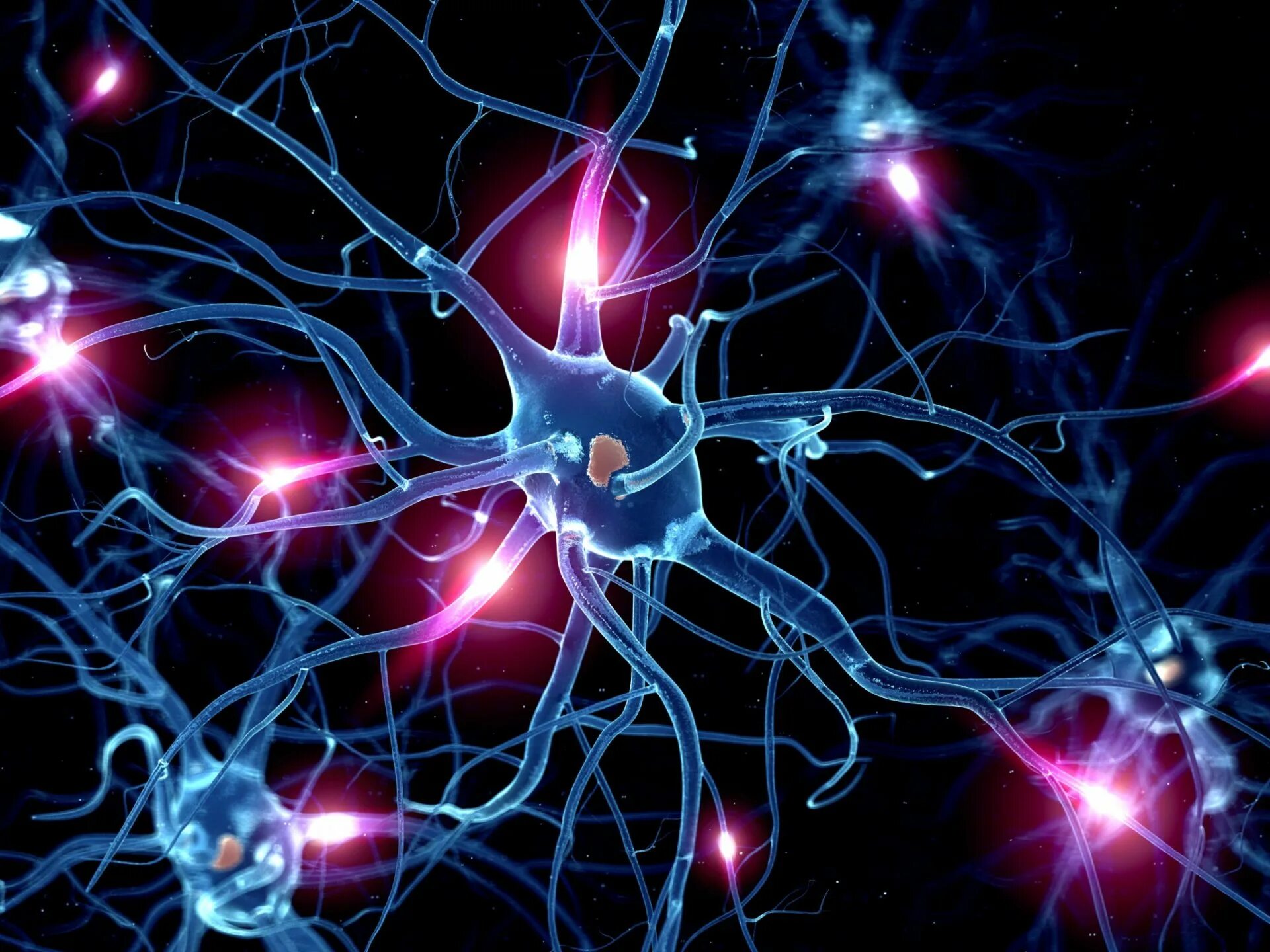 Нервные отростки головного мозга. Нейрон клетка головного мозга. Нейронные синапсы. Нервная система Нейрон. Нервный Импульс в нейронах.
