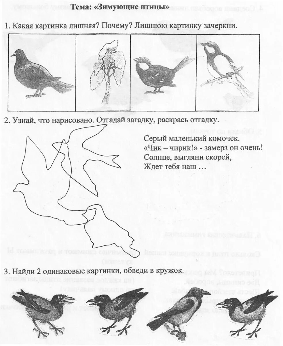 Планирование перелетные птицы весной. Задания для малышей зимующие и перелетные птицы. Зимующие птицы логопедические задания для дошкольников. Перелетные птицы задания для детей 3-4 лет. Задание зимующие птицы подготовительная группа.