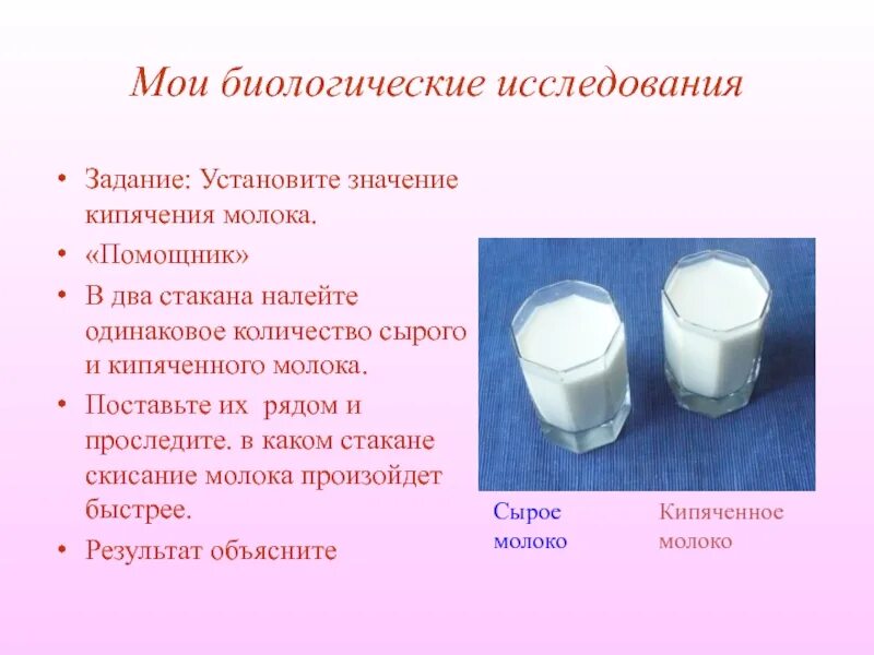 Какое значение биологические исследования. Мои биологические исследования. мои биологические исследования биология. биологические исследования установите значение кипячения молока. мини проект моё биологическое исследование.