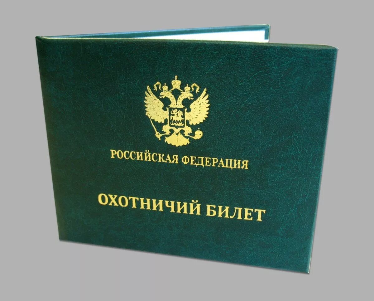 Охотничий билет и разрешение на охоту. Федеральный охотничий билет. Документы на разрешение на оружие гладкоствольное охотничье ружье. Лицензия на оружие для охоты. Как стать охотником и получить разрешение.