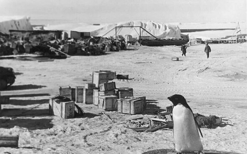 Первые антарктические станции. Антарктическая станция Мирный 1956. Мирный: первая Советская антарктическая станция. Советская антарктическая станция Мирный. Полярная станция Новолазаревская 1961.