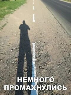 Смешные картинки дорога
