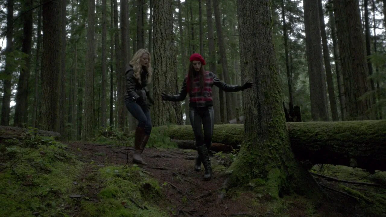 однажды в лесу. однажды в сказке лес. Regina mills 1 season. сторибрук зачарованный лес. зачарованный лес однажды в сказке.