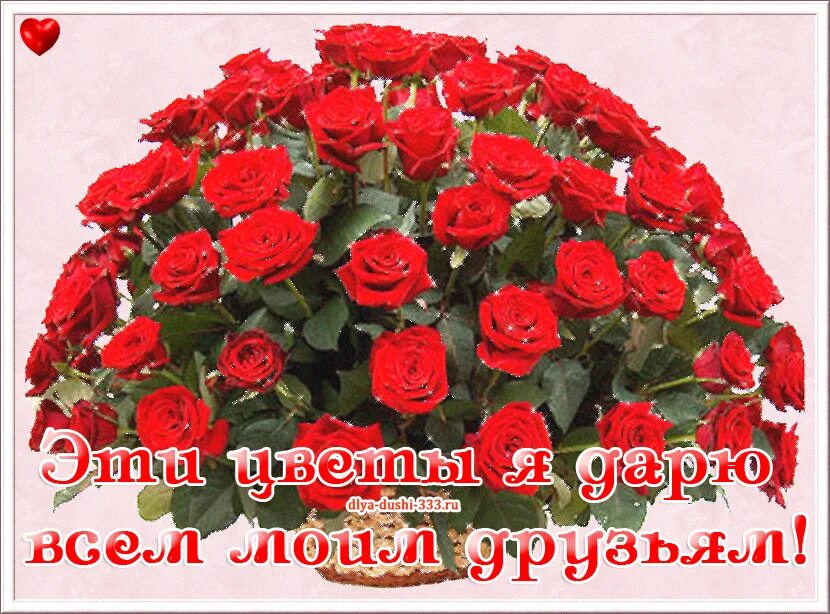 Друг это цветок. Моим друзьям желаю счастья. Красивый букет с надписью поздравляю. Цветы от всей души. Друг это цветок.
