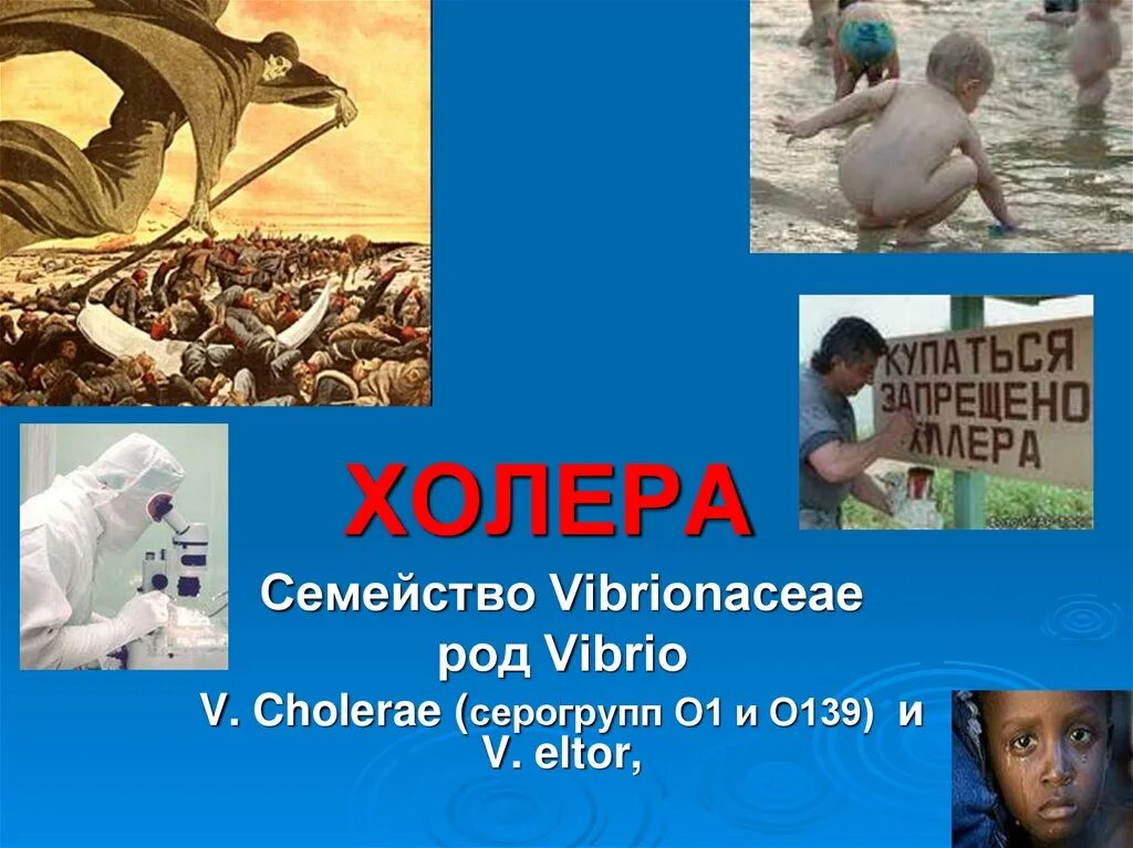 На борту холера бело синий. Холера фото для презентации. Холера плакат.