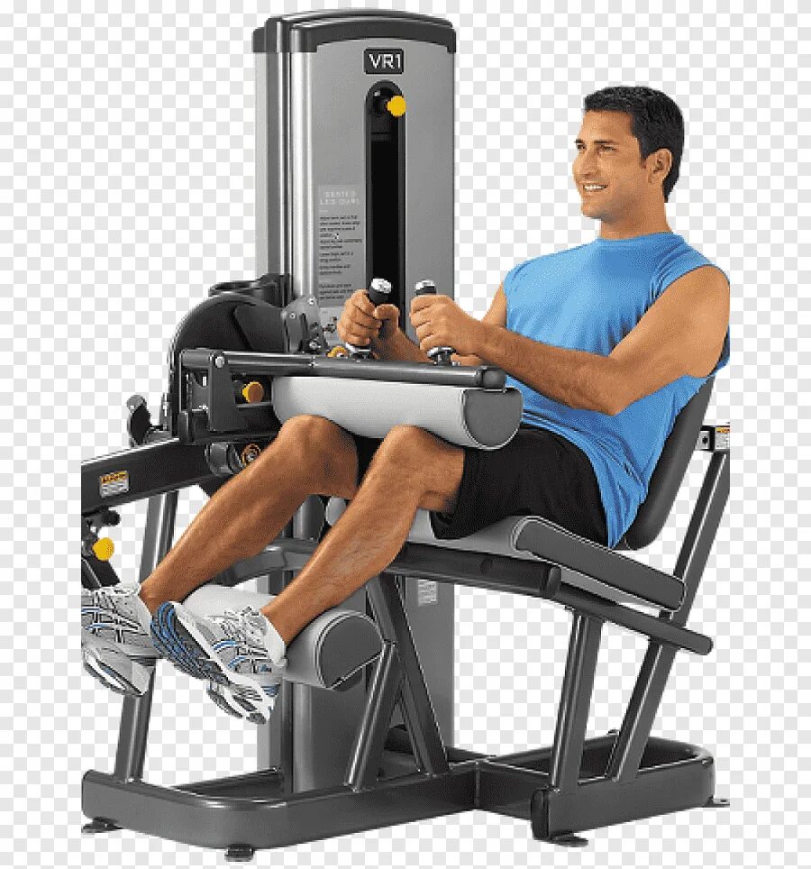 Leg curl. Разгибание ног тренажер cybex. тренажер техноджим разгибание бедра. biceps curl тренажер. тренажер cybex сгибание бедра.