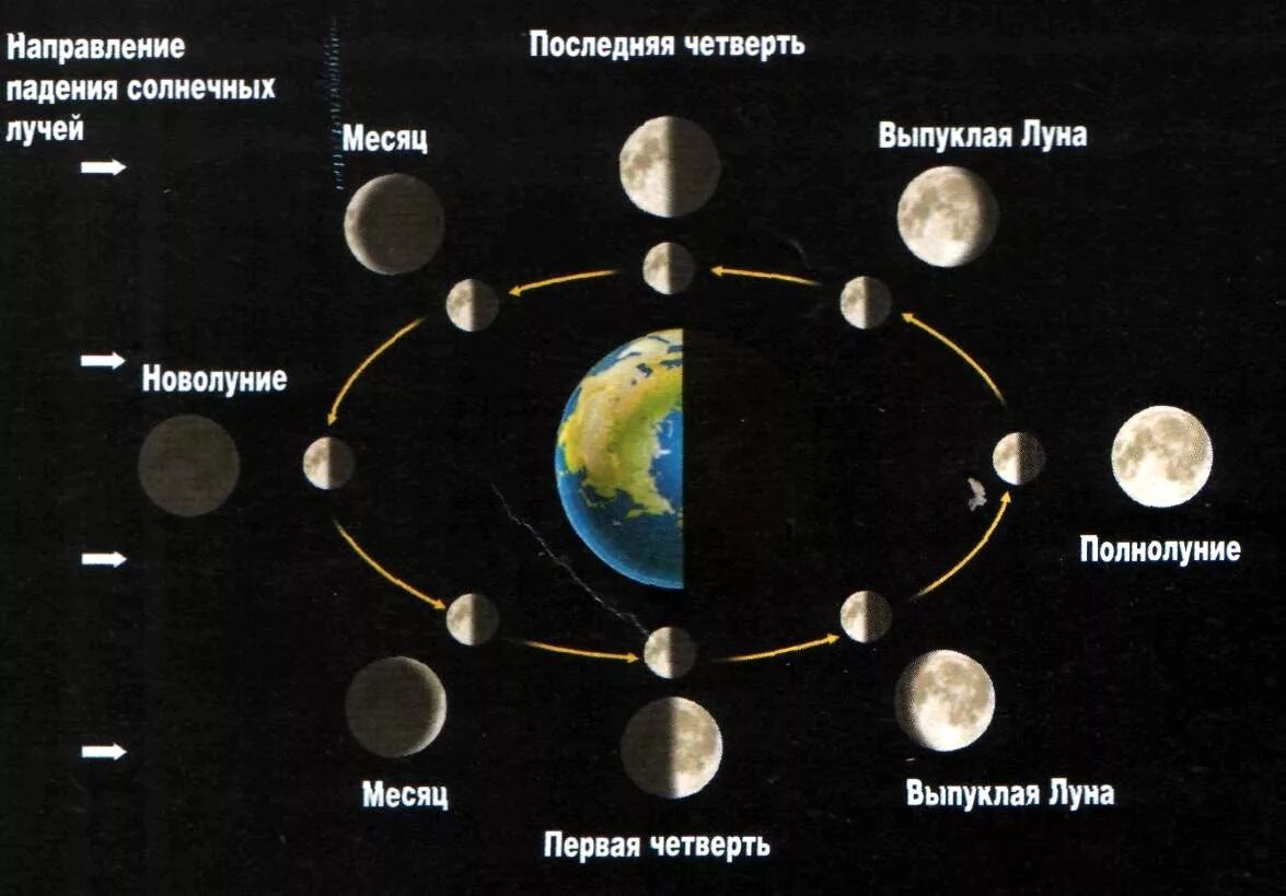 Положение через 5 лет. Положение луны относительно земли и солнца. фазы луны схема. схема смены фаз луны. полнолуние схема расположения земли луны.