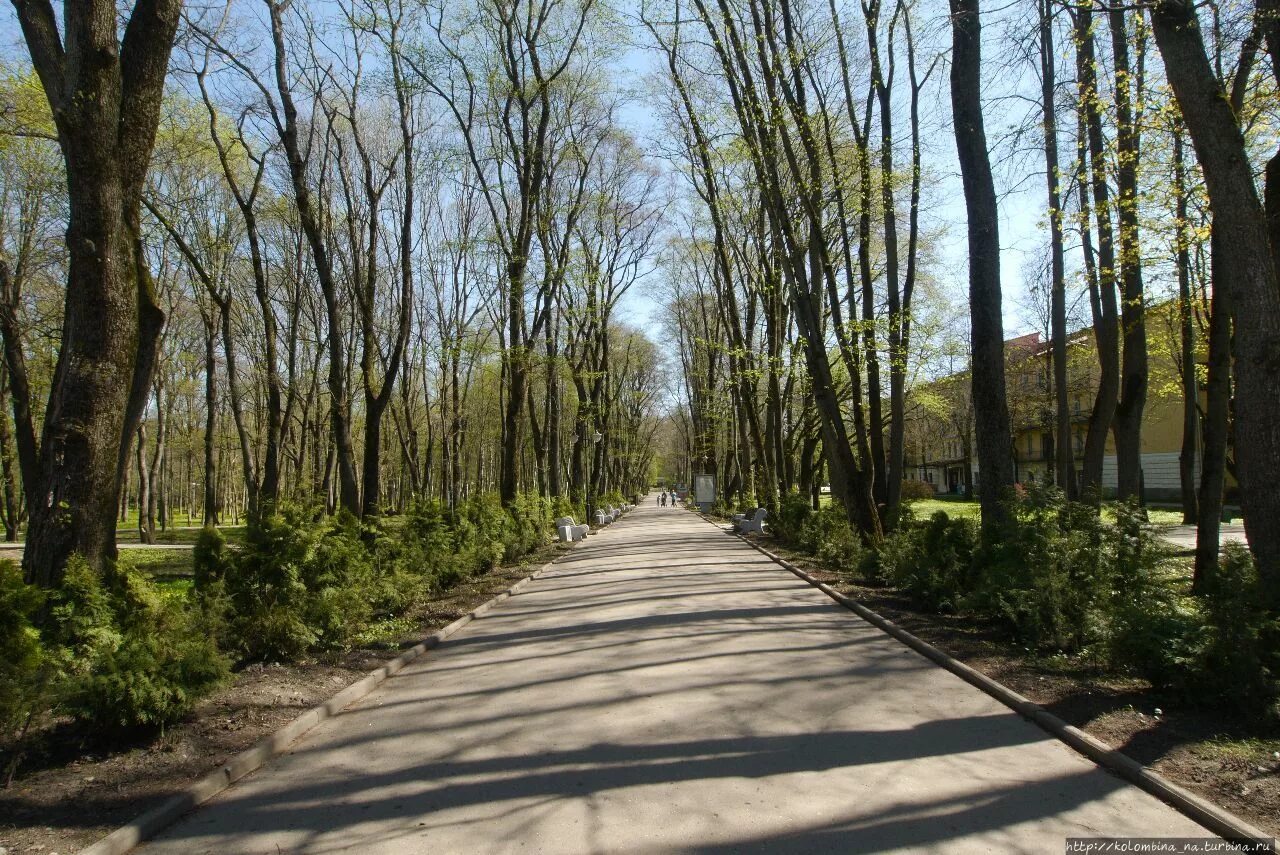 Погода на апрель старая русса. Старая русса парк курорт весной. сквер ранней весной. парк ранней весной.