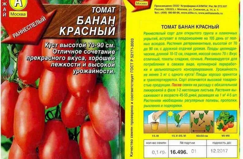 Томат сорт банан красный. Помидоры банан красный описание сорта. семена томат банан красный. томат золотое руно f1 высота куста.