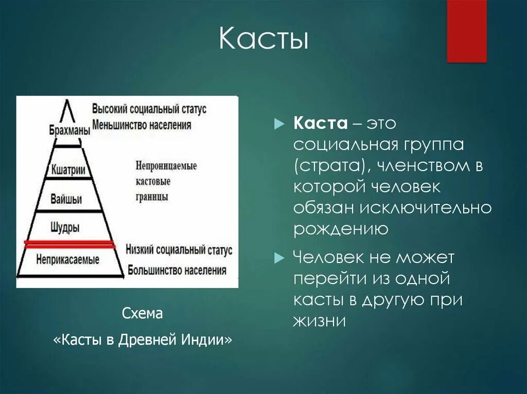 Примеры кастовых обществ