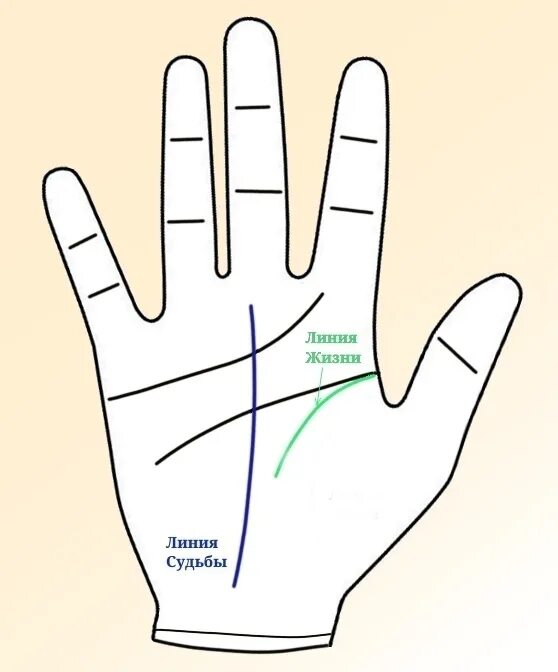 Линия жизни. Линия жизни на руке. Линия жизни рисунок. Линии судьбы.