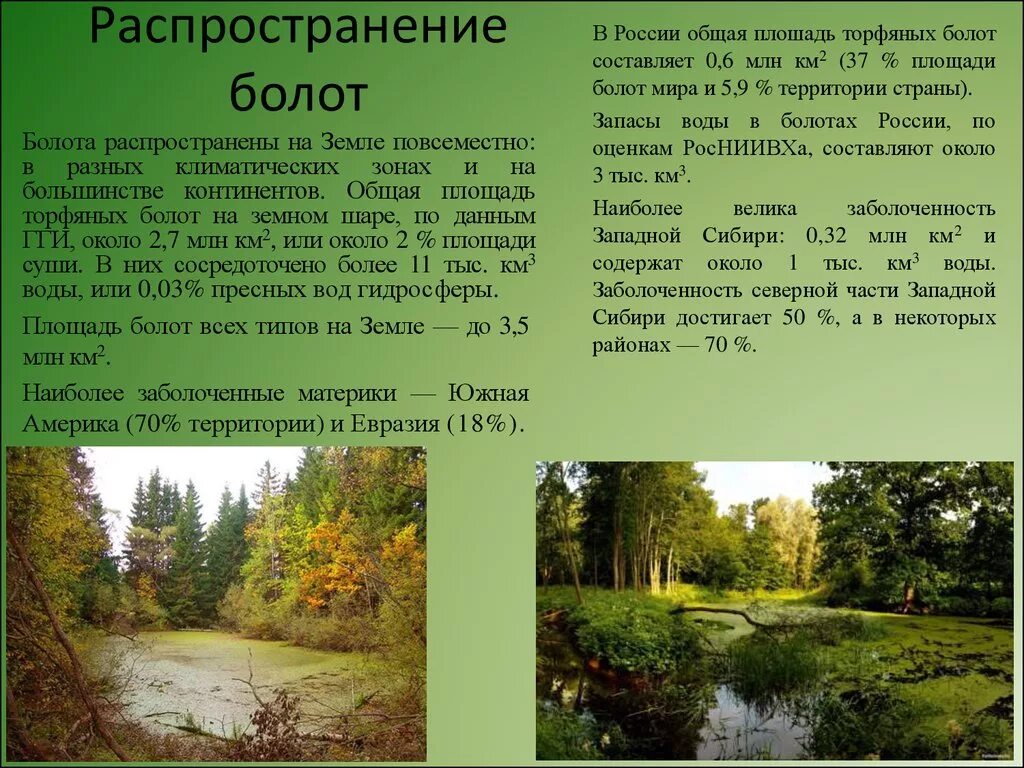 Территории болот в россии. Распространение болот на земном шаре. Общая площадь болот. Районы распространения болот в мире. Болота наиболее распространены.