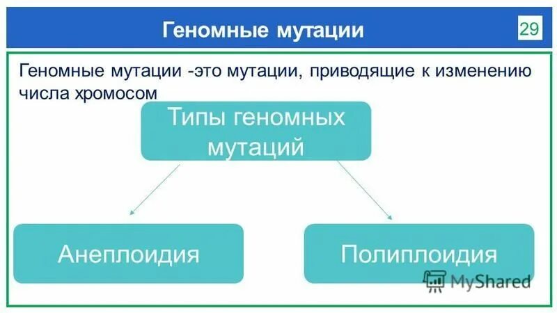 Мутации приводят к изменениям. Мутации приводят к изменениям