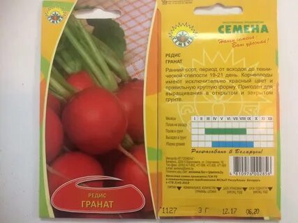 Семена в беларуси