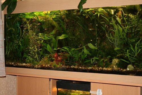 аквариумная земля