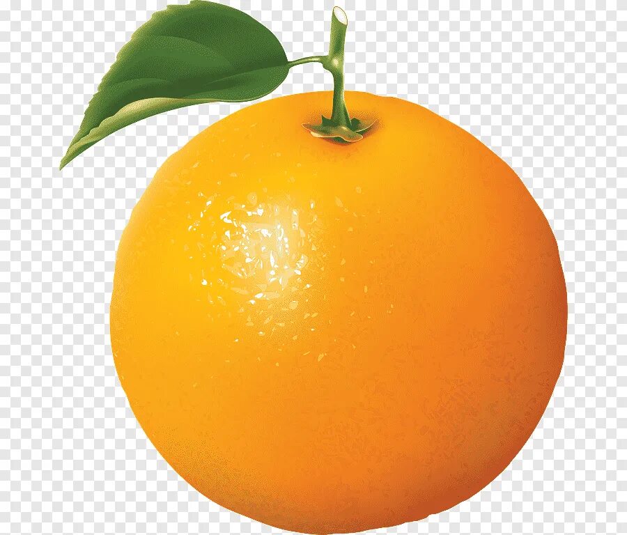 Апельсин. Дети апельсинки. Апельсин. Фрукты на белом фоне. Веселый апельсин.