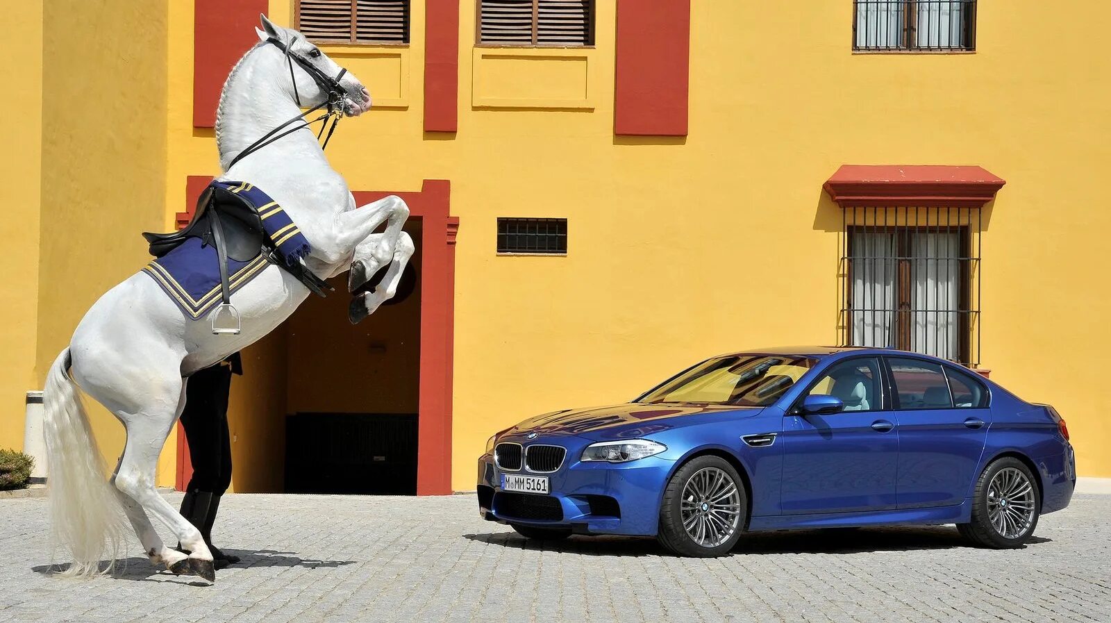 Добавить лошадиных сил. Лошадиные силы bmw m5 f10. машина с лошадью. лошадь и автомобиль. машина на л.