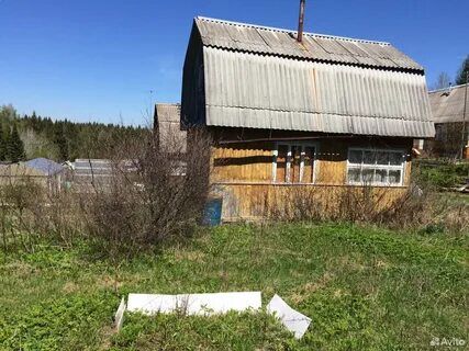 Авито кукуштан дачи