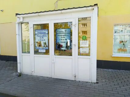 Айболит рыбинск