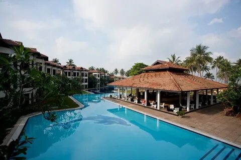 Club hotel dolphin шри