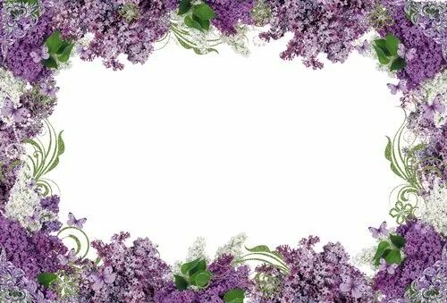Рамка сирень. Рамка с цветами. Рамка с цветами. Рамка сирень. Рамка сирень.