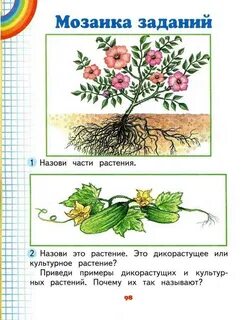 Комплексная по окружающему миру 1 класс
