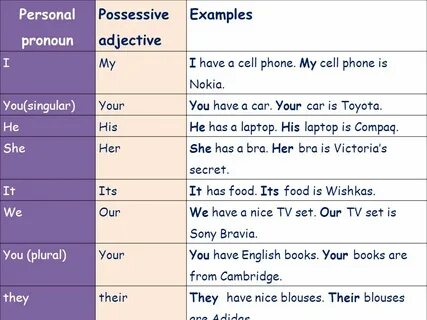 Example possessive
