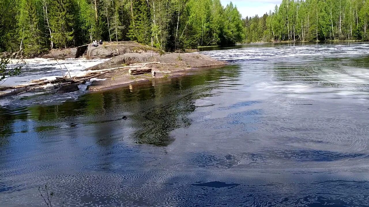 Пороги конец. Река укса. река укса карелия лето. река укса карелия май 2019. река укса конец мая.