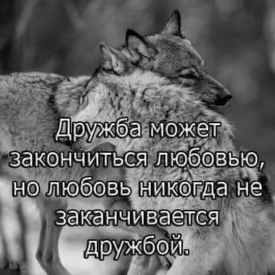 Любовь не прекращается. Дружба закончилась. любовь никогда не заканчивается дружбой. дружба может закончиться любовью. дружба заканчивается любовью.