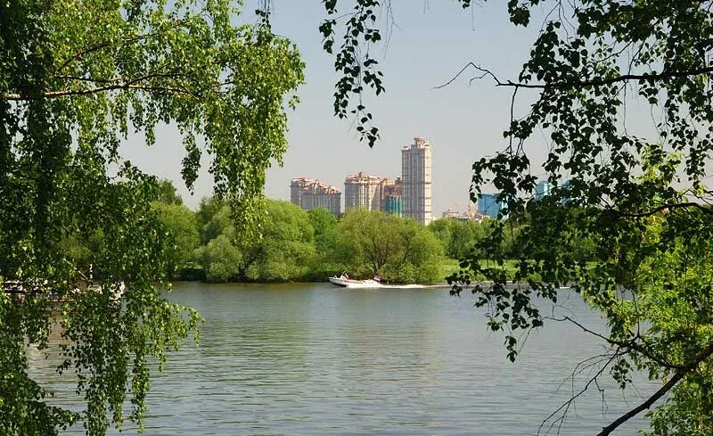 Серебряный бор москва пляж. Пляж москва памятник природы серебряный бор отзывы. Серебряный бор москва памятник. Заповедник серебряный бор. Серебряный бор лесопарк.