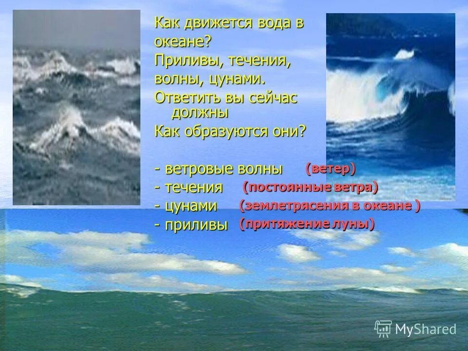 Приливы океанов причина. Как движется вода в океане. Как образуются ветровые волны. Волновые течения. Сообщение ветровые волны.