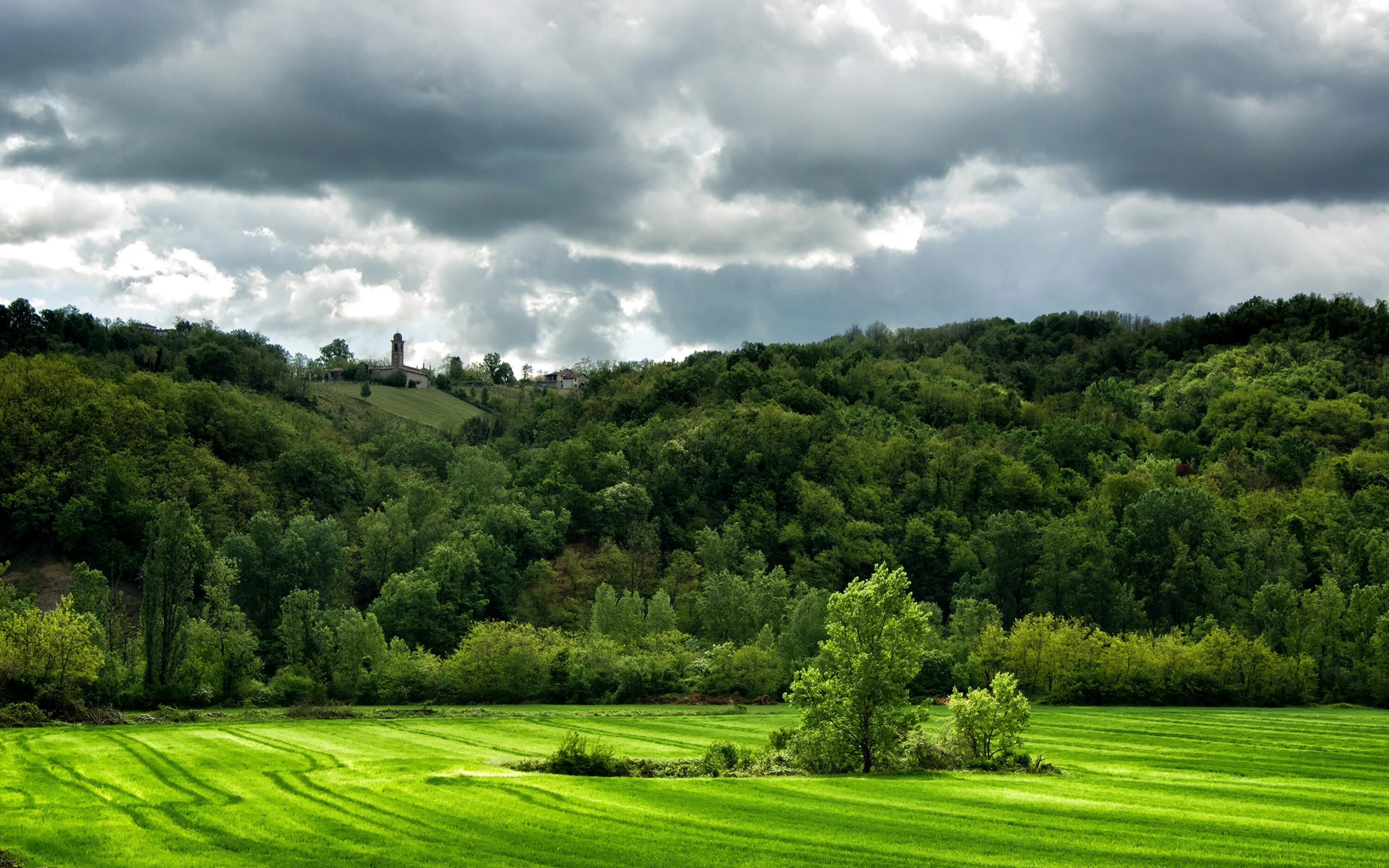 Green Hills зеленые холмы. Холм Кёнигсштуль. Арденнская возвышенность в Бельгии. Wide green