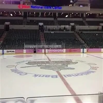 Плавки арена. Arena check. Олимпиец сургут. Arena check. Arena check.