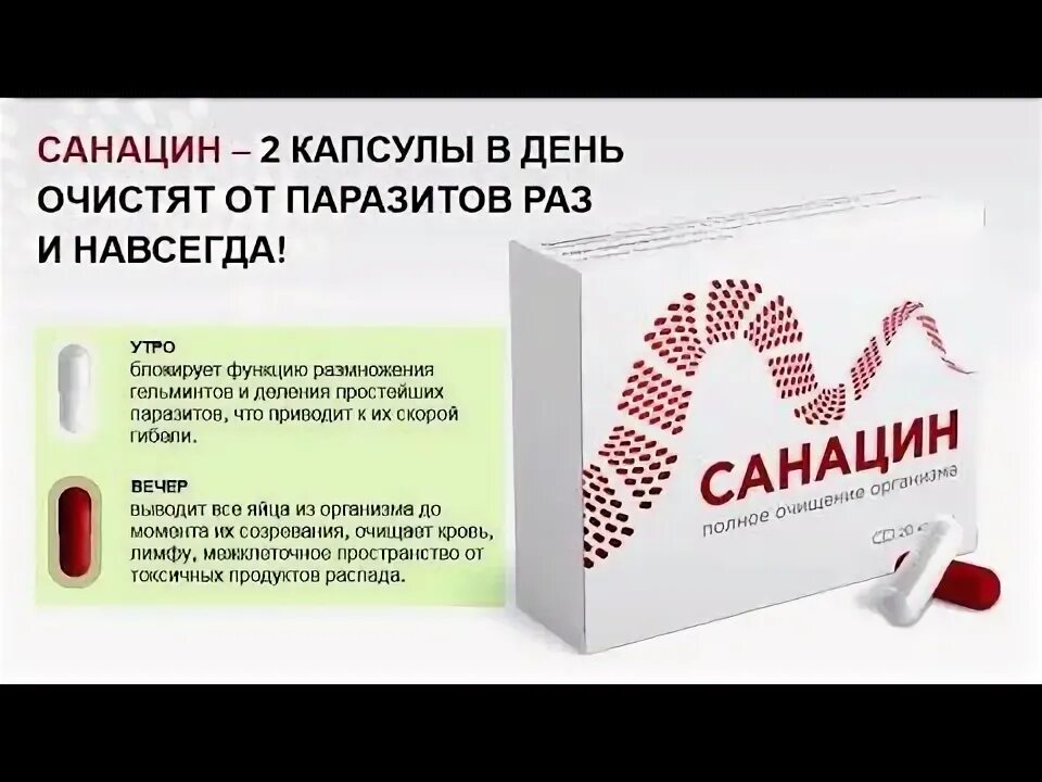 Санацин капсулы. Санацин лекарство от паразитов. Капсулы от паразитов. Санацин капсулы от паразитов развод.