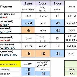 Цветок род падеж
