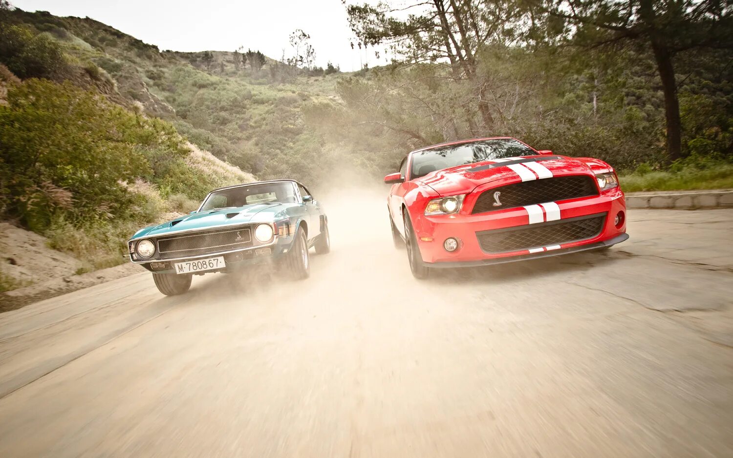 Old new best. Ford shelby gt500 vs. dodge challenger. мустанг old vs new. мустанг 2011. vs машина.