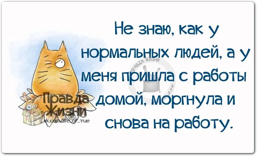 Статусы про работу прикольные. Статусы про работу. Смешные статусы про работу. Прикольные фразы про усталость. Правды жизни на дне