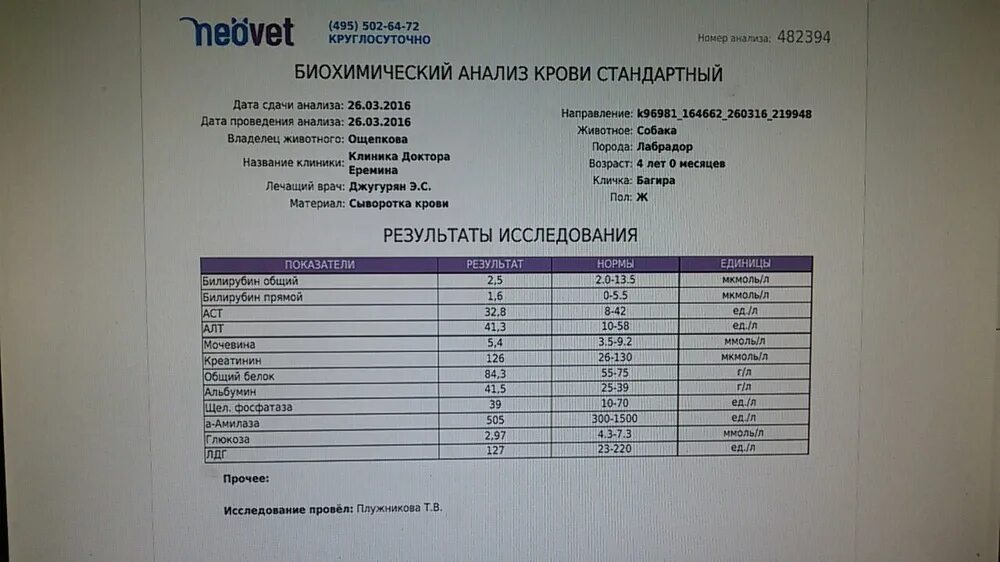 Анализы крови через сколько готовы результаты