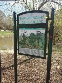 Как доехать до дендрарий парк