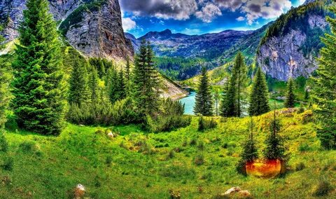 Живой пейзаж природа