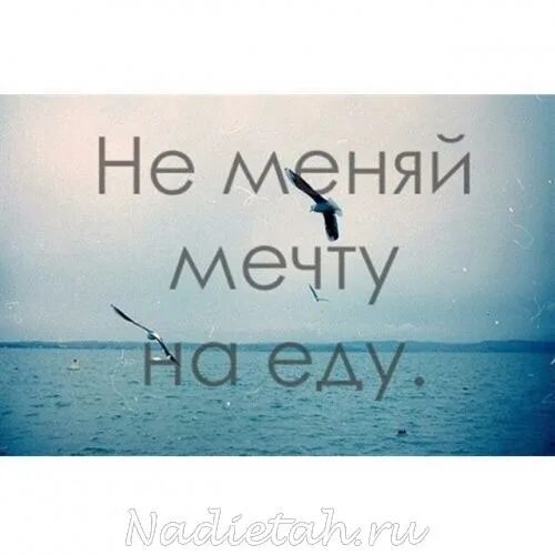 Не меняй мечту на еду. Слоган про мечту. Борись за мечту. Мотивационные картинки Мечтай. Ая мечтаю