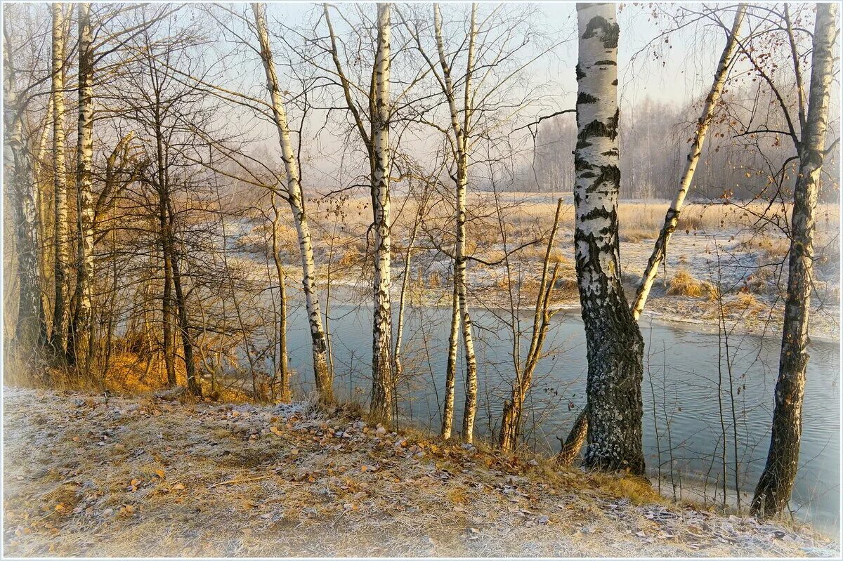 Уж ноябрь на дворе пушкин. Пушкин уж небо осенью дышало стихотворение. Уж ноябрь на дворе пушкин. Стоял октябрь уж на дворе. Ноябрь стоит уж у двора.