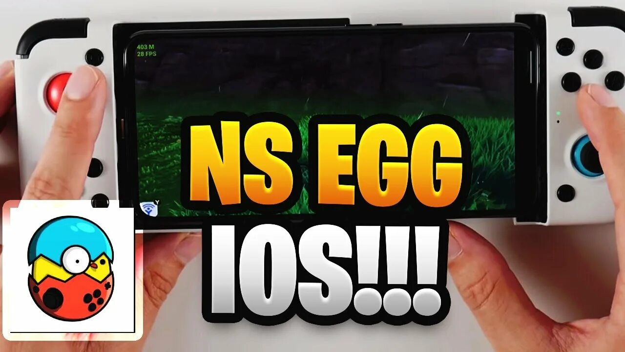 Egg emulator. Egg emulator