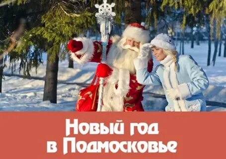 Встретить новый год подмосковье