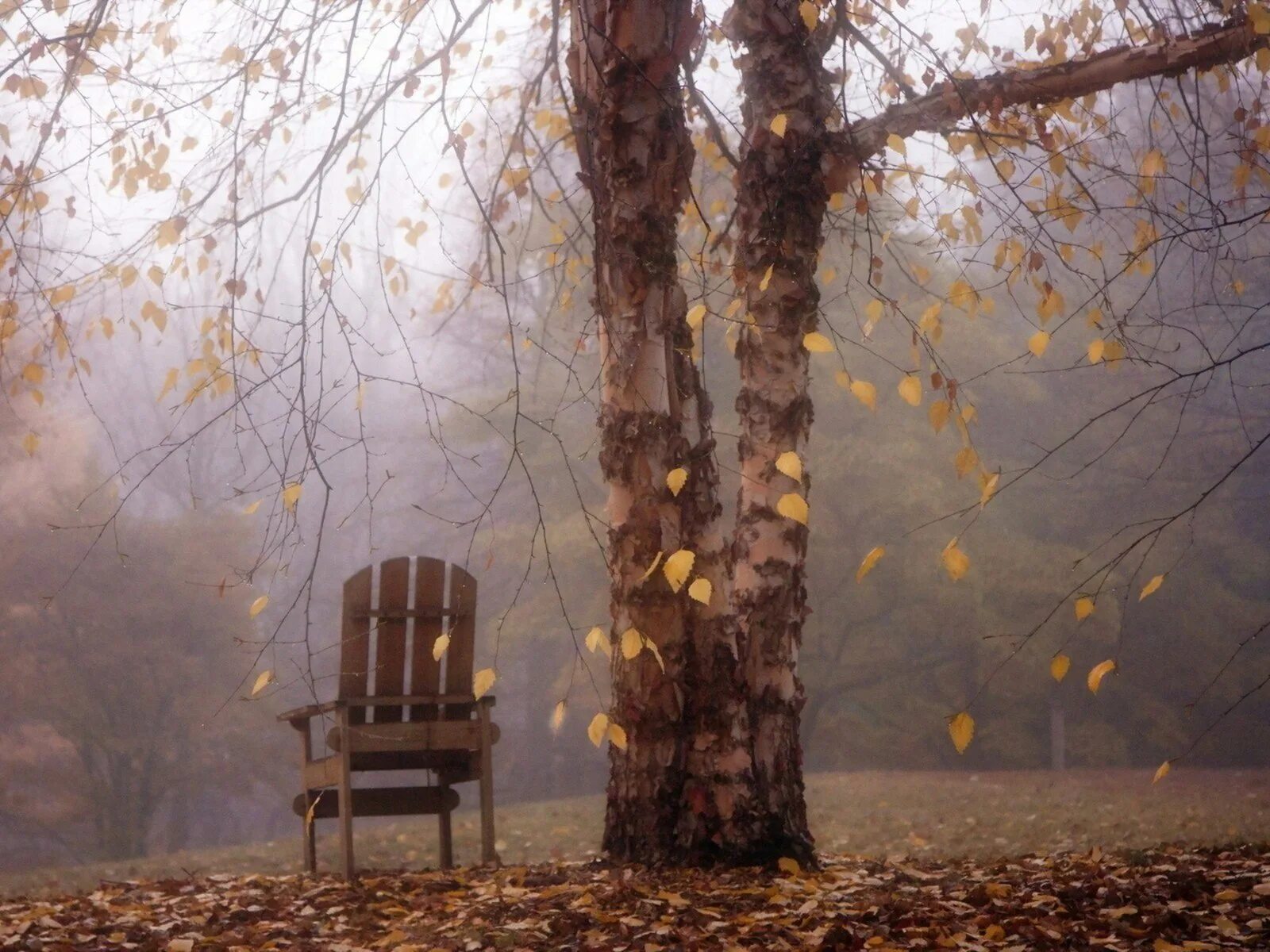 Каким становится воздух осенью. Пейзаж со стулом. Пейзаж стул и пальто. 2 Стула пейзаж.