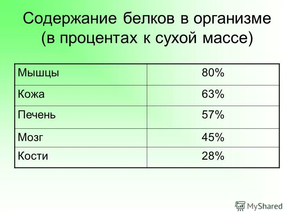 Норма белка в процентах. Содержание беловоа в организме. Содержание белков в организме. Количество белков в организме человека. Процентное содержание белков в организме.